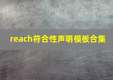 reach符合性声明模板合集 