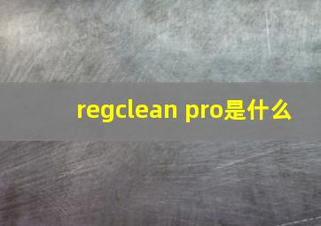 regclean pro是什么