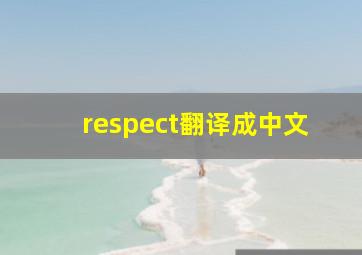 respect翻译成中文