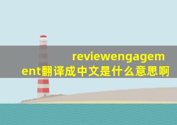 reviewengagement翻译成中文是什么意思啊