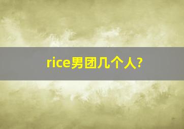 rice男团几个人?
