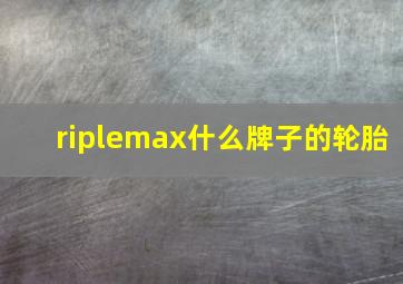 riplemax什么牌子的轮胎