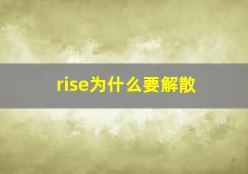 rise为什么要解散(