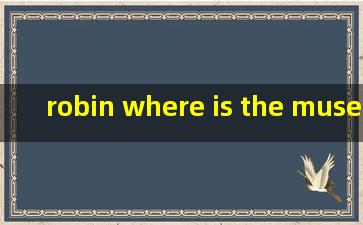 robin where is the museum shop什么意思