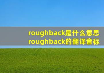 roughback是什么意思roughback的翻译音标