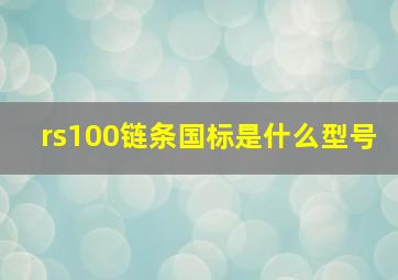 rs100链条国标是什么型号