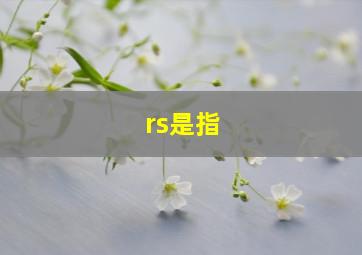 rs是指