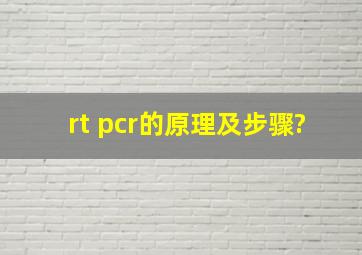 rt pcr的原理及步骤?