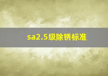 sa2.5级除锈标准