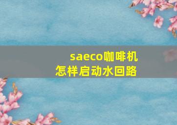 saeco咖啡机 怎样启动水回路