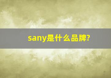 sany是什么品牌?