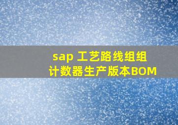 sap 工艺路线、组、组计数器、生产版本、BOM
