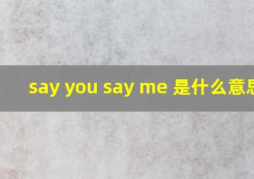 say you say me 是什么意思?