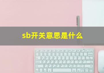 sb开关意思是什么