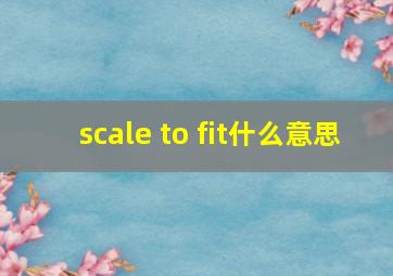 scale to fit什么意思