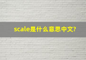 scale是什么意思中文?