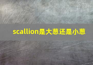 scallion是大葱还是小葱