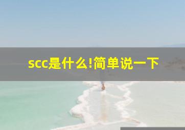 scc是什么!简单说一下