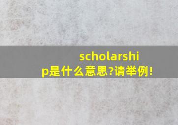 scholarship是什么意思?请举例!