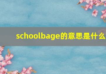 schoolbage的意思是什么