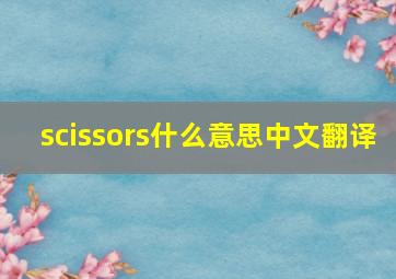 scissors什么意思中文翻译