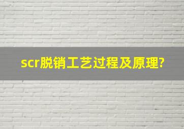 scr脱销工艺过程及原理?