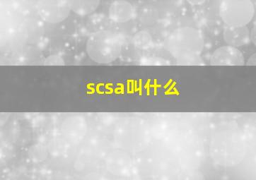 scsa叫什么