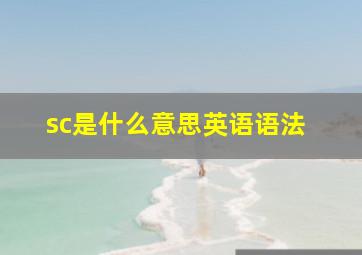 sc是什么意思英语语法 