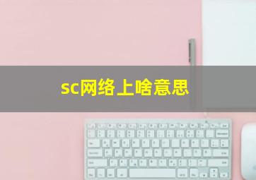 sc网络上啥意思 