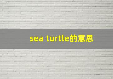 sea turtle的意思