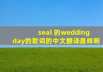 seal 的《wedding day》的歌词的中文翻译是咩啊