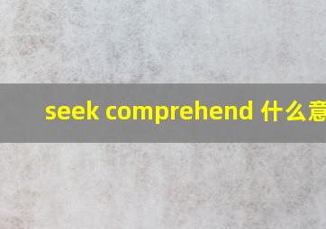 seek comprehend 什么意思?