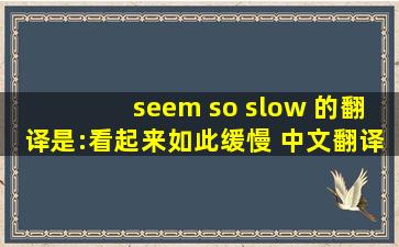 seem so slow 的翻译是:看起来如此缓慢 中文翻译英文意思,翻译英语