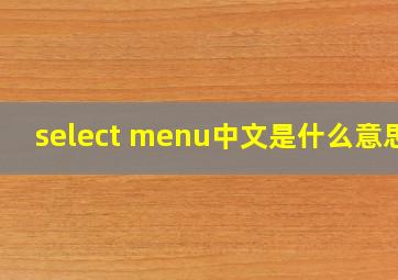 select menu,中文是什么意思?