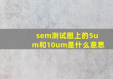 sem测试图上的5um和10um是什么意思