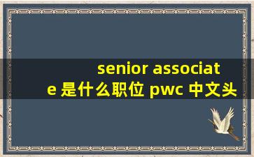 senior associate 是什么职位 pwc 中文头衔