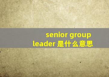 senior group leader 是什么意思