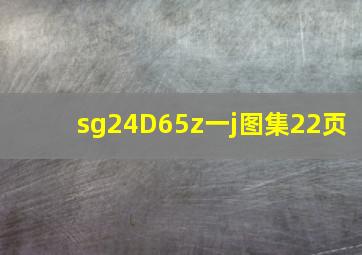 sg24D65z一j图集22页