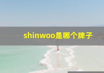 shinwoo是哪个牌子