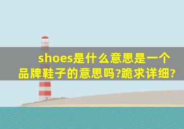 shoes是什么意思,是一个品牌鞋子的意思吗?跪求详细?