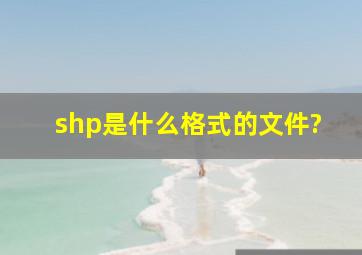 shp是什么格式的文件?