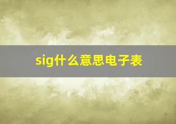 sig什么意思电子表(