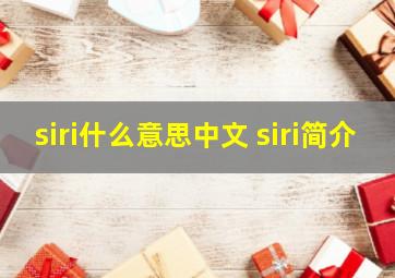 siri什么意思中文 siri简介