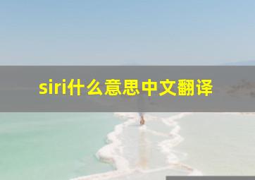 siri什么意思中文翻译