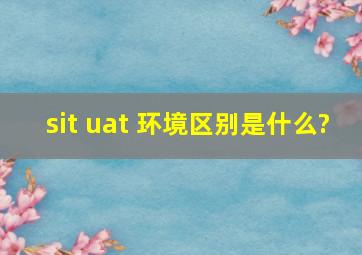 sit uat 环境区别是什么?