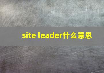 site leader什么意思