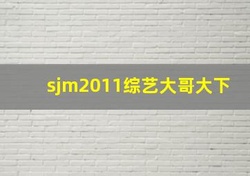 sjm2011综艺大哥大(下)