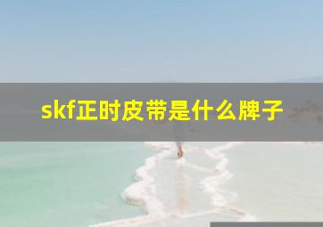 skf正时皮带是什么牌子