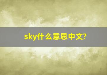 sky什么意思中文?