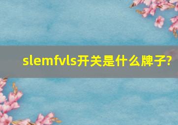 slemfvls开关是什么牌子?